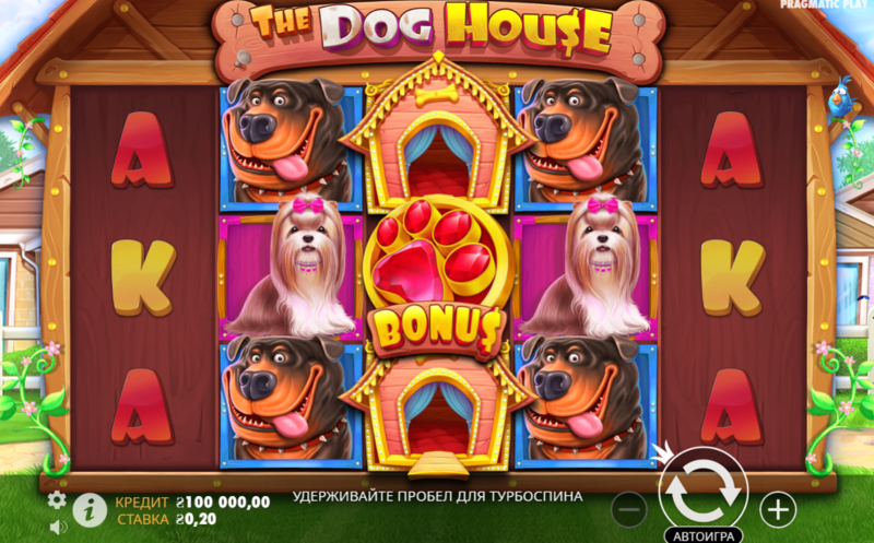 Dog House